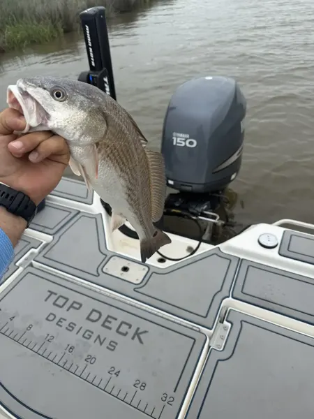 Top Deck Designs fishing project photo.